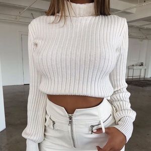 turtleneck long sleeve crop top knitted